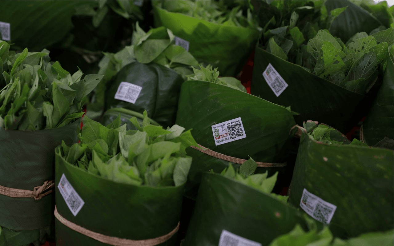 Top 10 Electrolyte Foods for Dubai Heat-  leafy greens